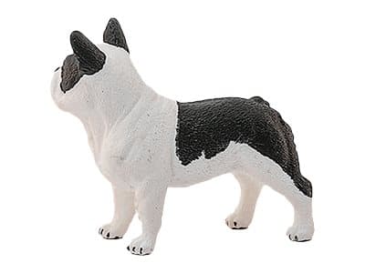 Schleich-13877 FranzoesischeBulldogge NEU OVP
